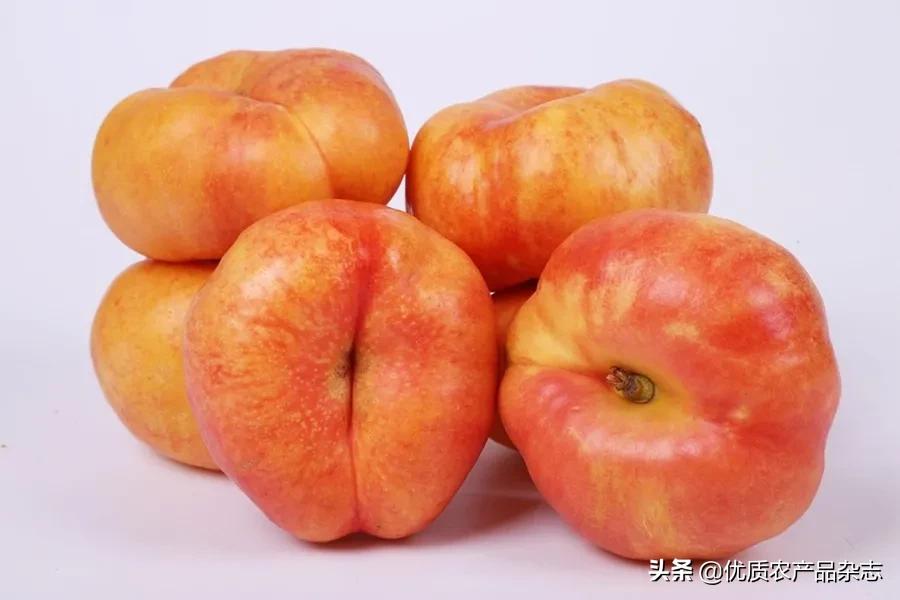 什么种类的黄桃最好吃又甜,鲜食黄桃品种哪个最好吃