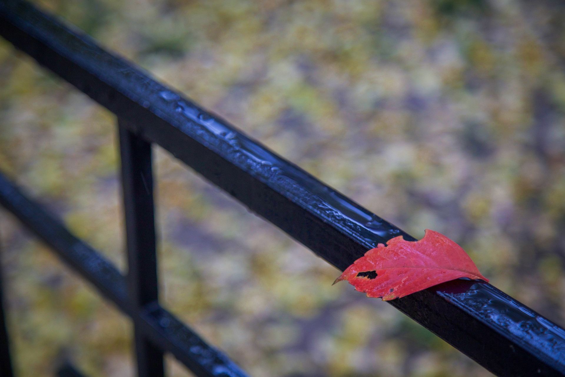 有家室的男人会真心爱你吗,有家室的人就是不一样
