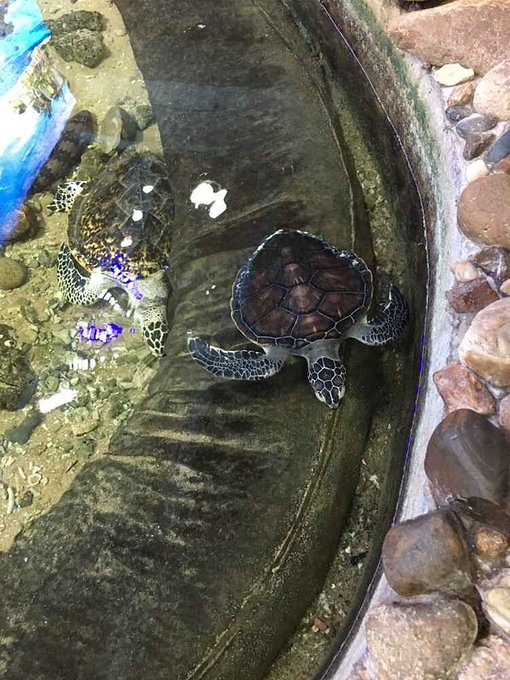 给自己一个度假的理由海南三亚,三亚度假的天堂