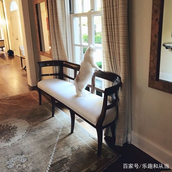 看看女神妮可和米兰达的豪宅，高级感的家都有这个特点