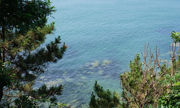 大连行程攻略,大连旅行攻略详细路线推荐图