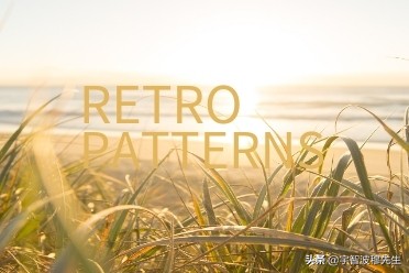 没有营业执照在拼多多开店流程,拼多多旗舰店开店流程及步骤