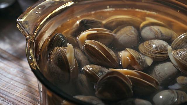 丹东东港的海鲜哪最好,丹东东港海鲜为什么好