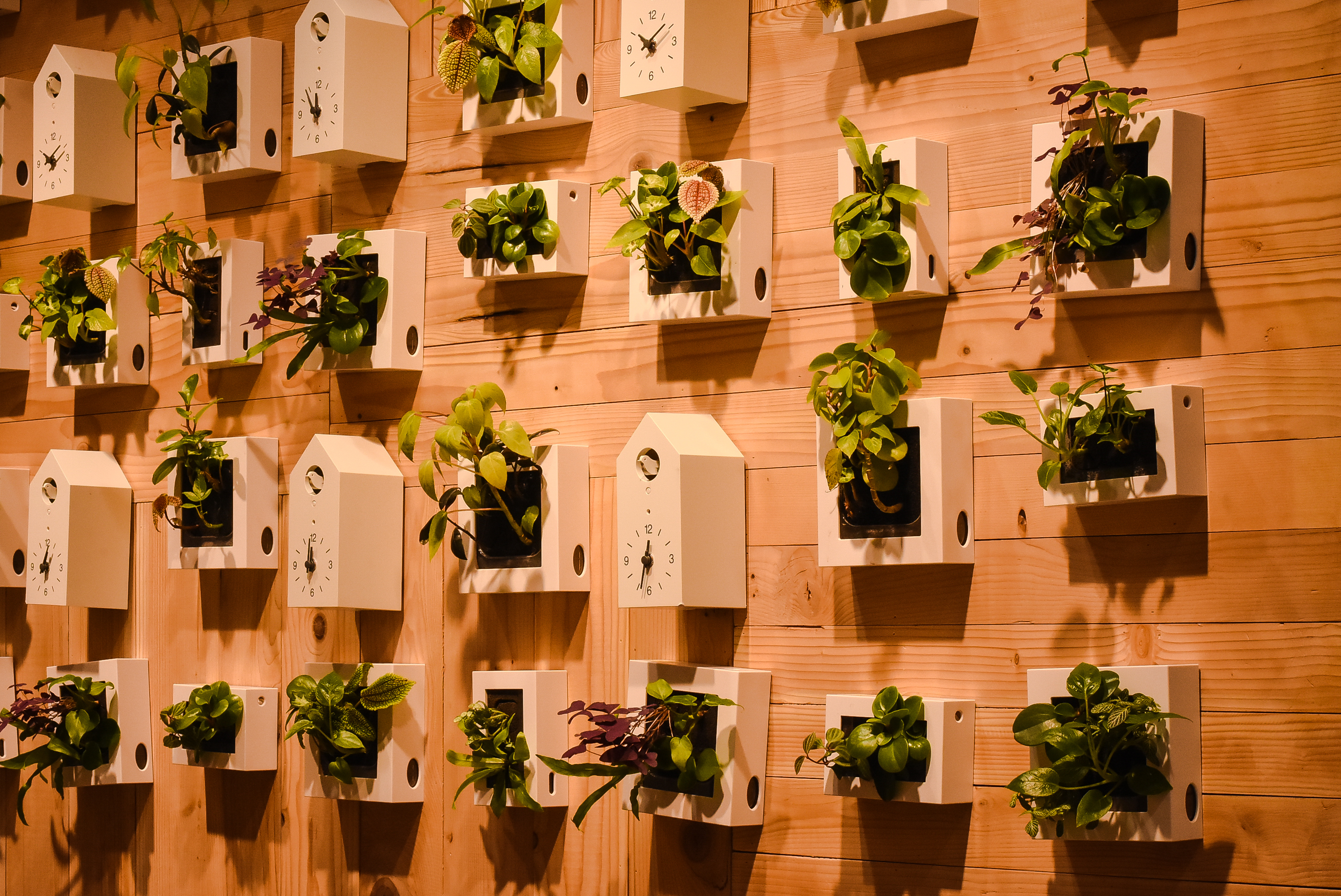 湾仔美食推荐,香港自由行湾仔美食推荐