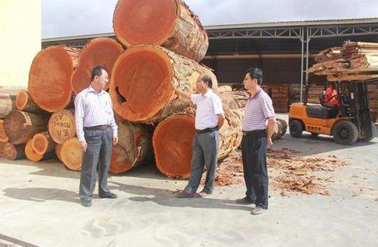 暗访东莞天价大板生产基地,原料全是称斤烂木头,富豪还排队来买