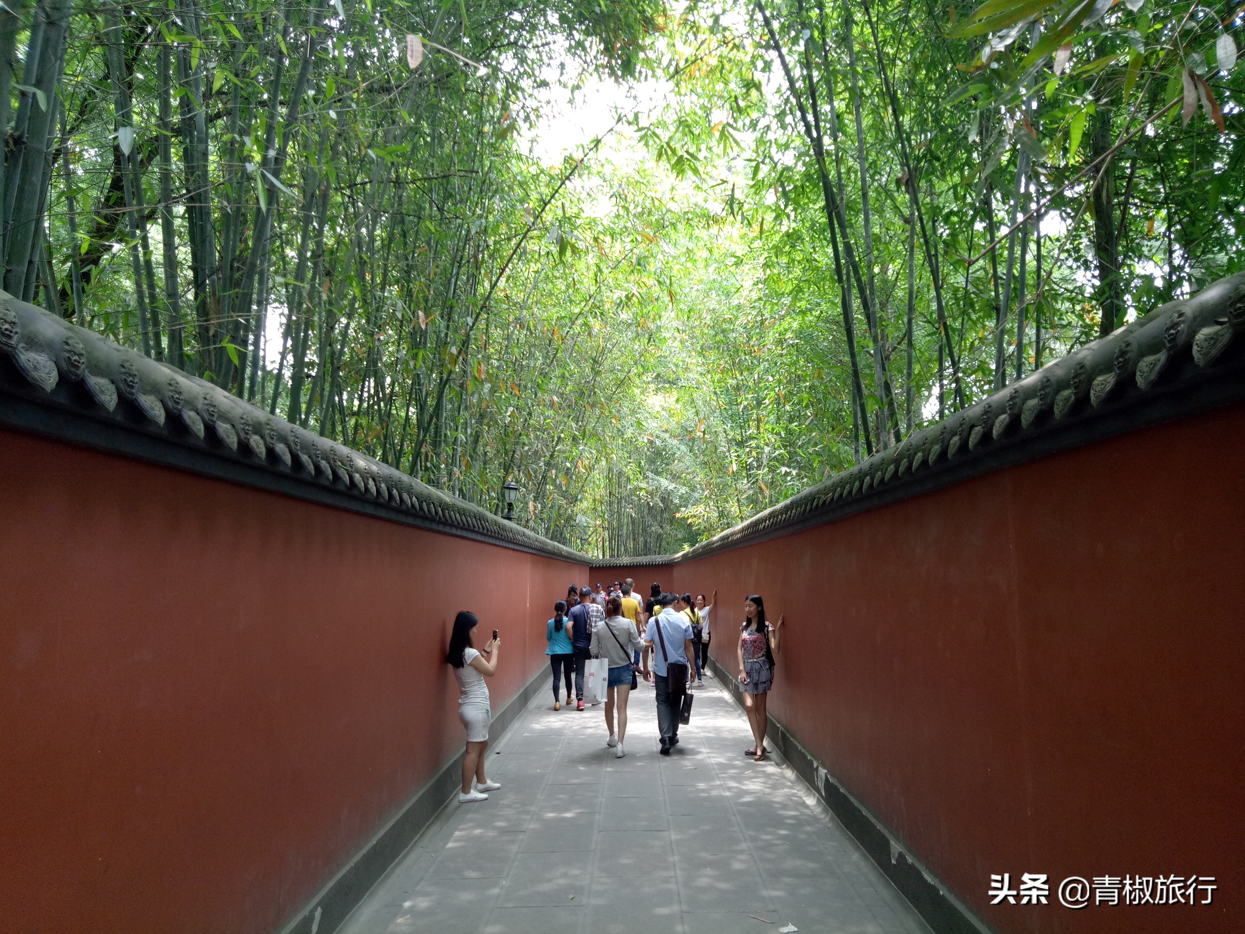 成都的美让人如此着迷，熊猫火锅麻将，春节每一景都是你来的理由