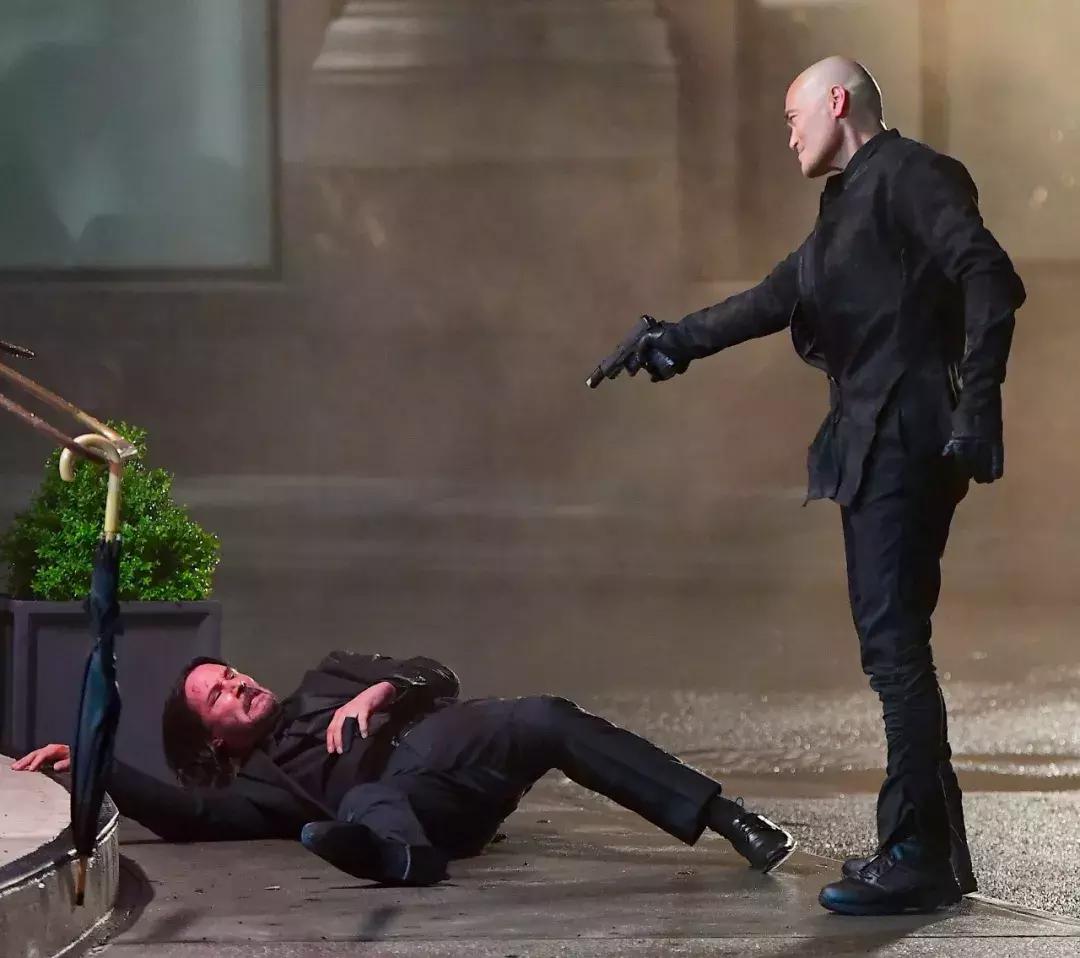 今年劲爆的猛片，竟是一只狗引发的*案惨**