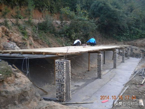 养羊棚舍建造实景图,农村羊舍最简易建造