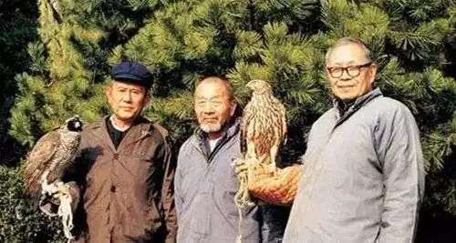 一“顽”到老王世襄:架鹰盘鸽斗蛐蛐,越老玩得越高级