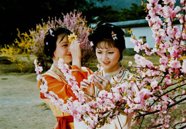 红楼梦中的末世指的是什么,红楼梦中末世与明清末世的对比