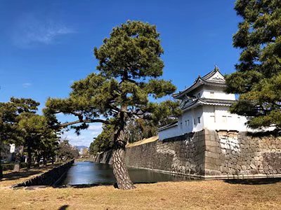 2020鏃ユ湰澶ч槳,澶ч槳浜兘濂堣壇鍏ぉ瀹夋帓