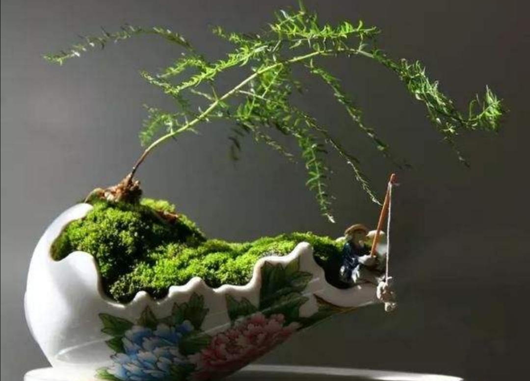 酒瓶切割做成花盆怎样打眼视频,从废旧酒瓶到创意花盆的华丽转身