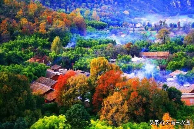 让天下没有难卖的农产品,让农民的产品不愁卖