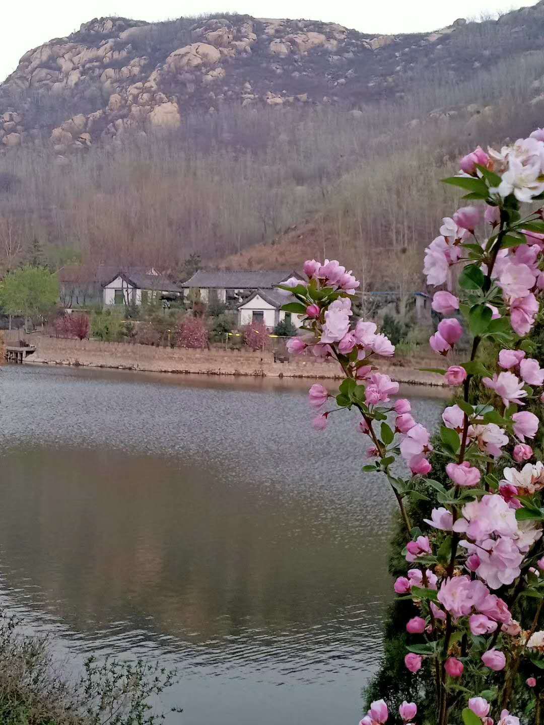 大美徂徕山,徂徕山美景如画