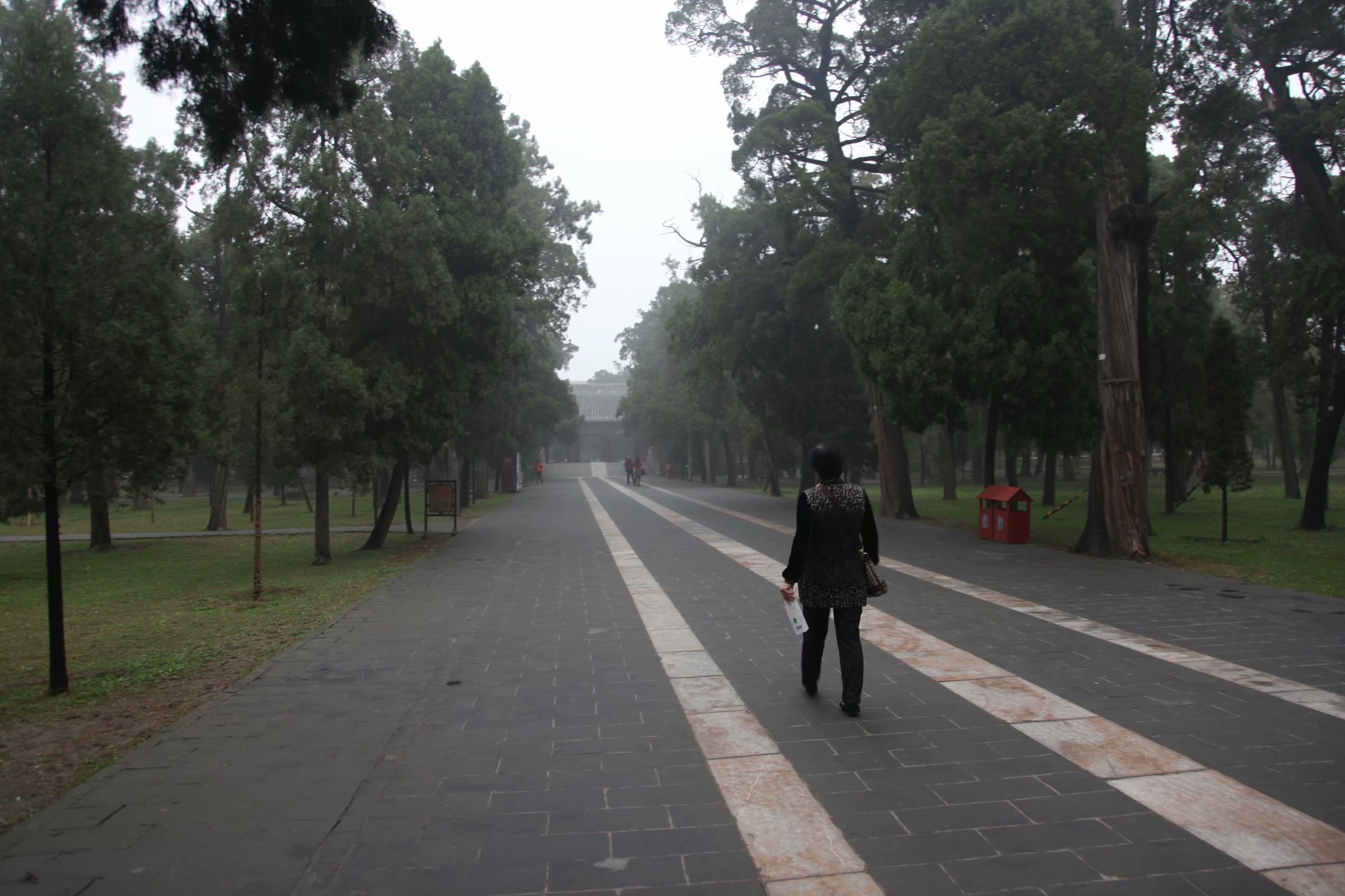 三孔在多少年被收入世界遗产名录,中国世界文化遗产三孔面积