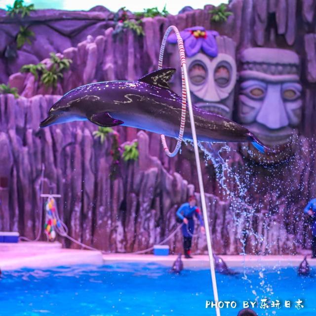 来珠海亲子必打卡景点，人工飘雪海洋动物表演，最适合周末亲子游