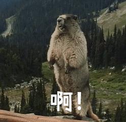 十一留守儿童看这里！去百联奥莱薅羊毛真的香！我先买为敬