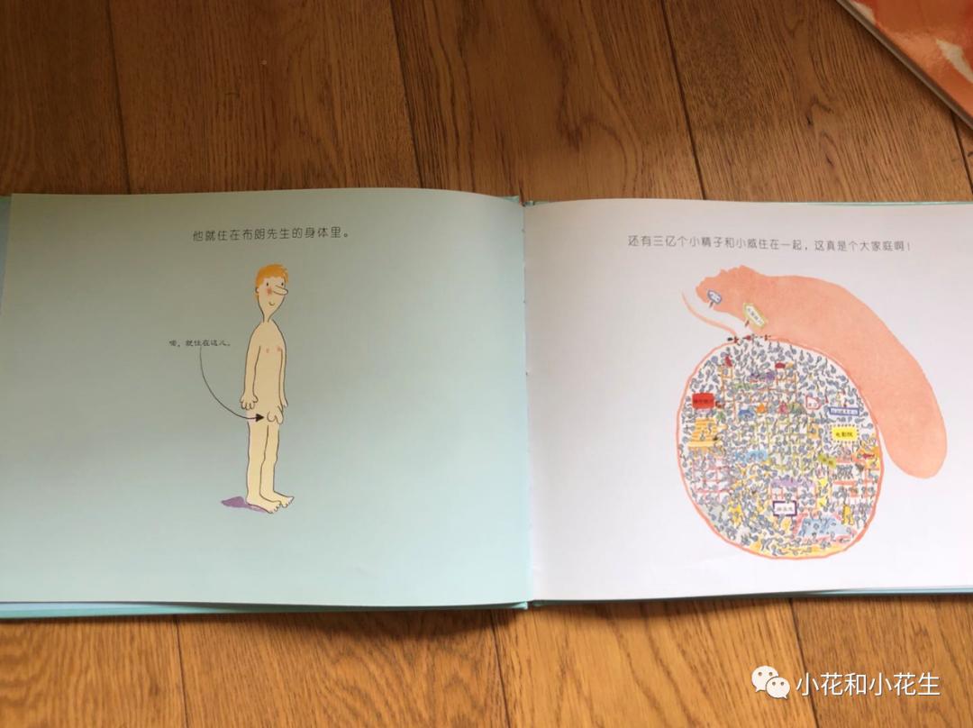 小朋友性启蒙教育,儿童启蒙性早教