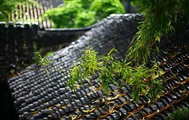 这是最值得收藏的旅行清单，顺着24节气，带娃游遍中国