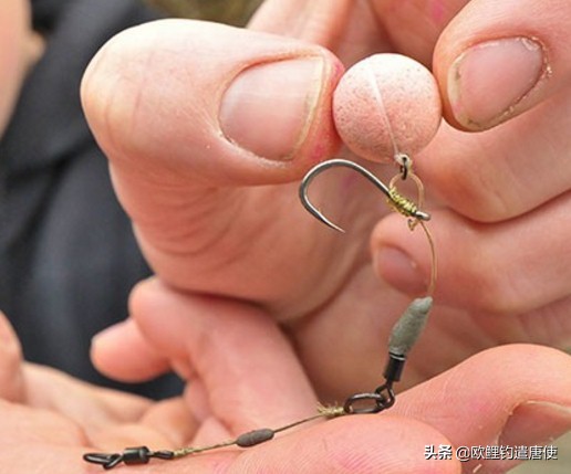 话说欧鲤钓最新消息,话说欧鲤钓鱼完整版