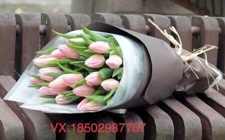 玫瑰花语大全表达爱意的,玫瑰的花语大全简短