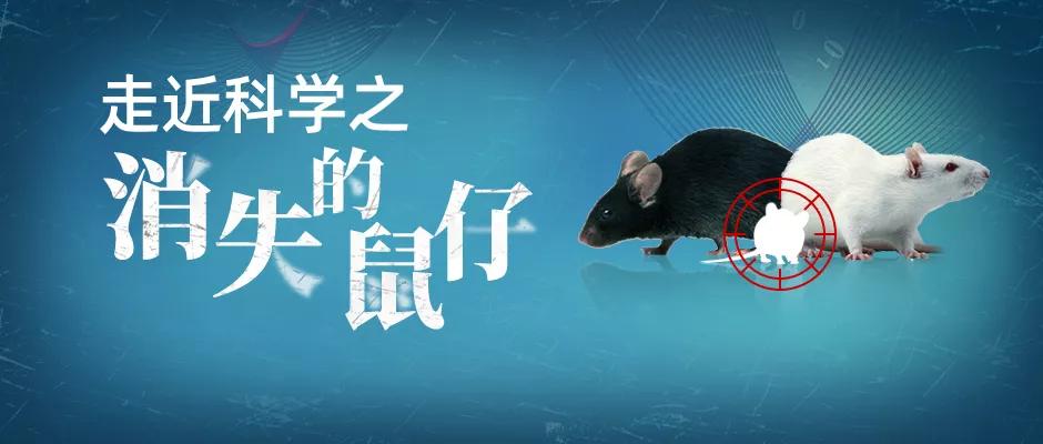 走近科学鼠王,走近科学之消失的巴士