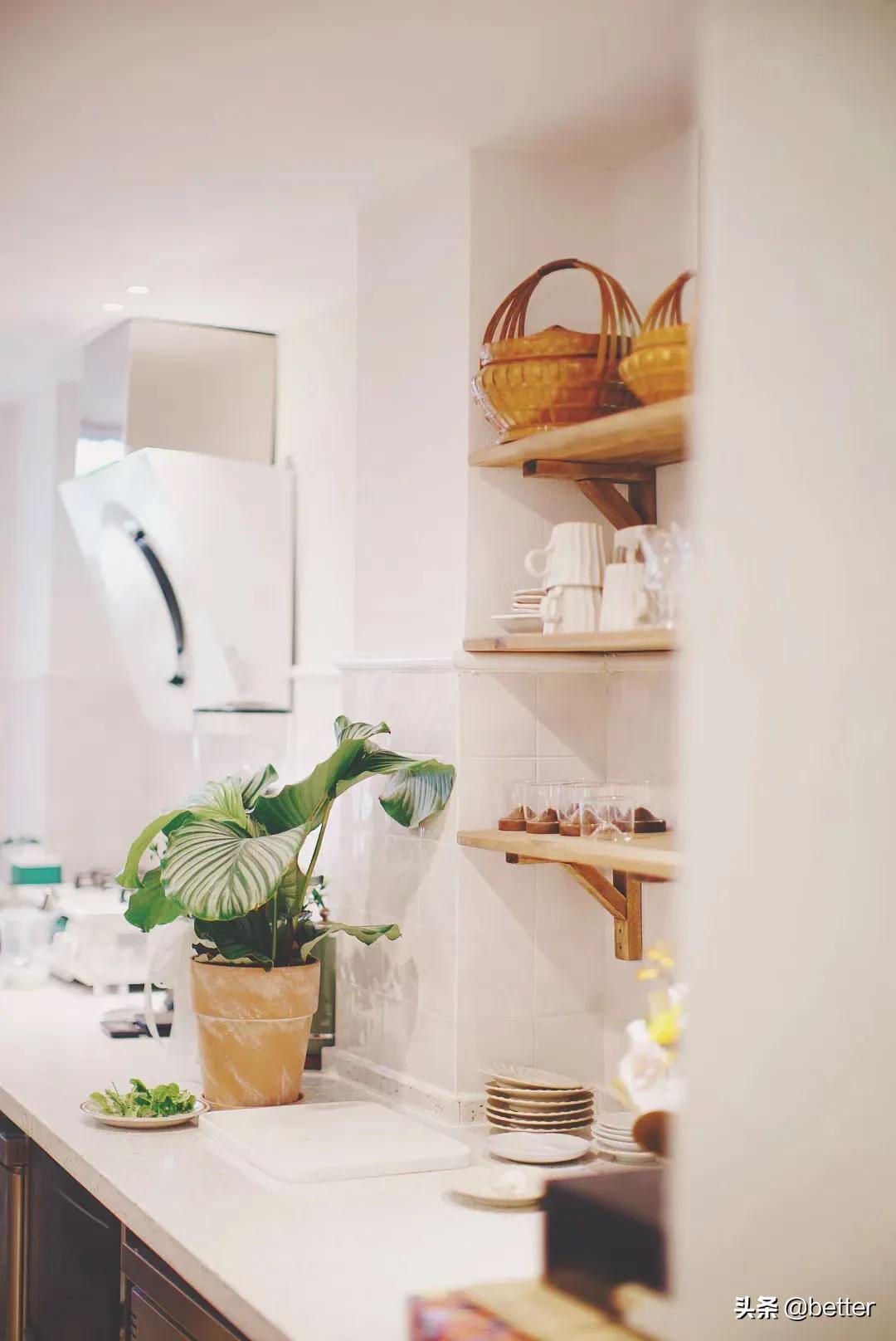 在下一波大雨来临前,探新店听现场逛夜影秀|一周情报