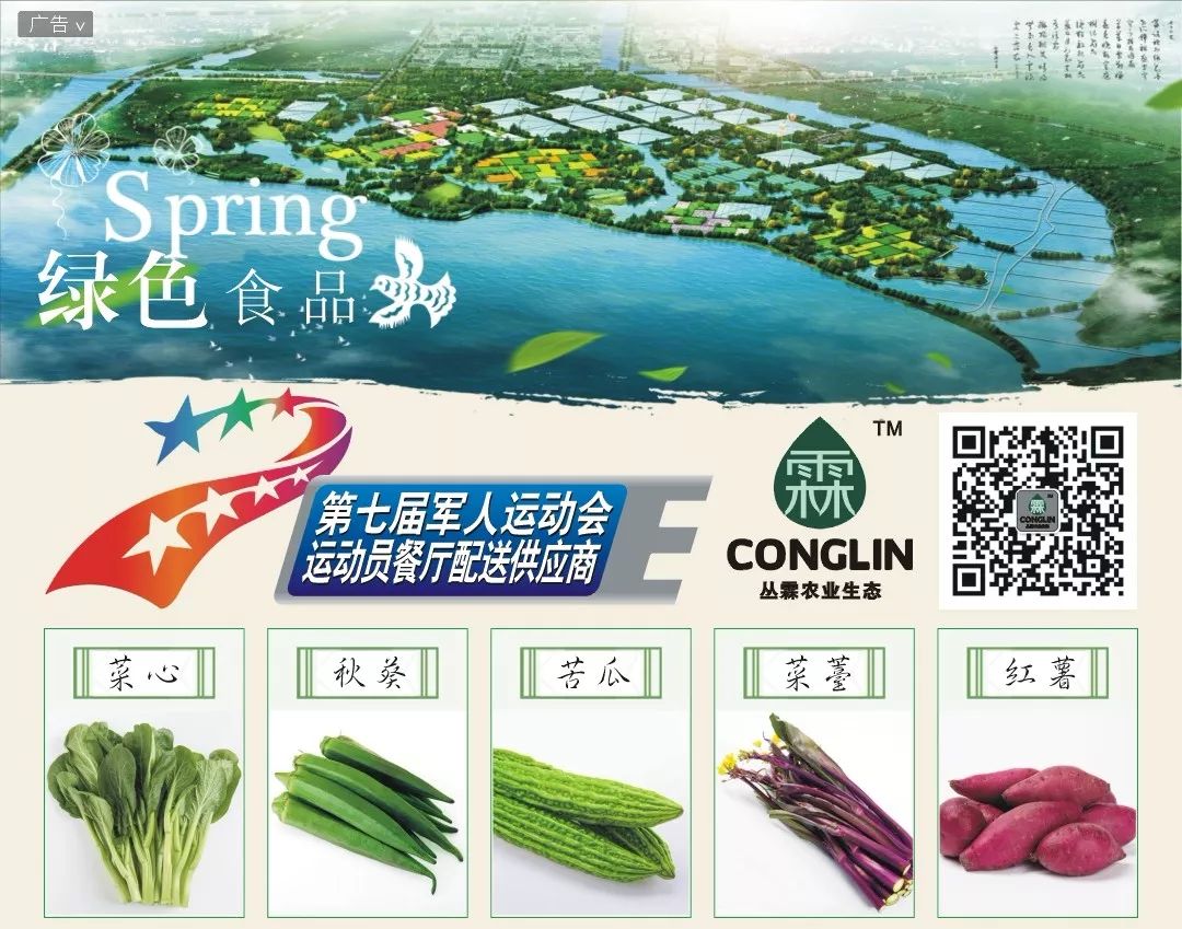 阳逻新城区,新洲新城