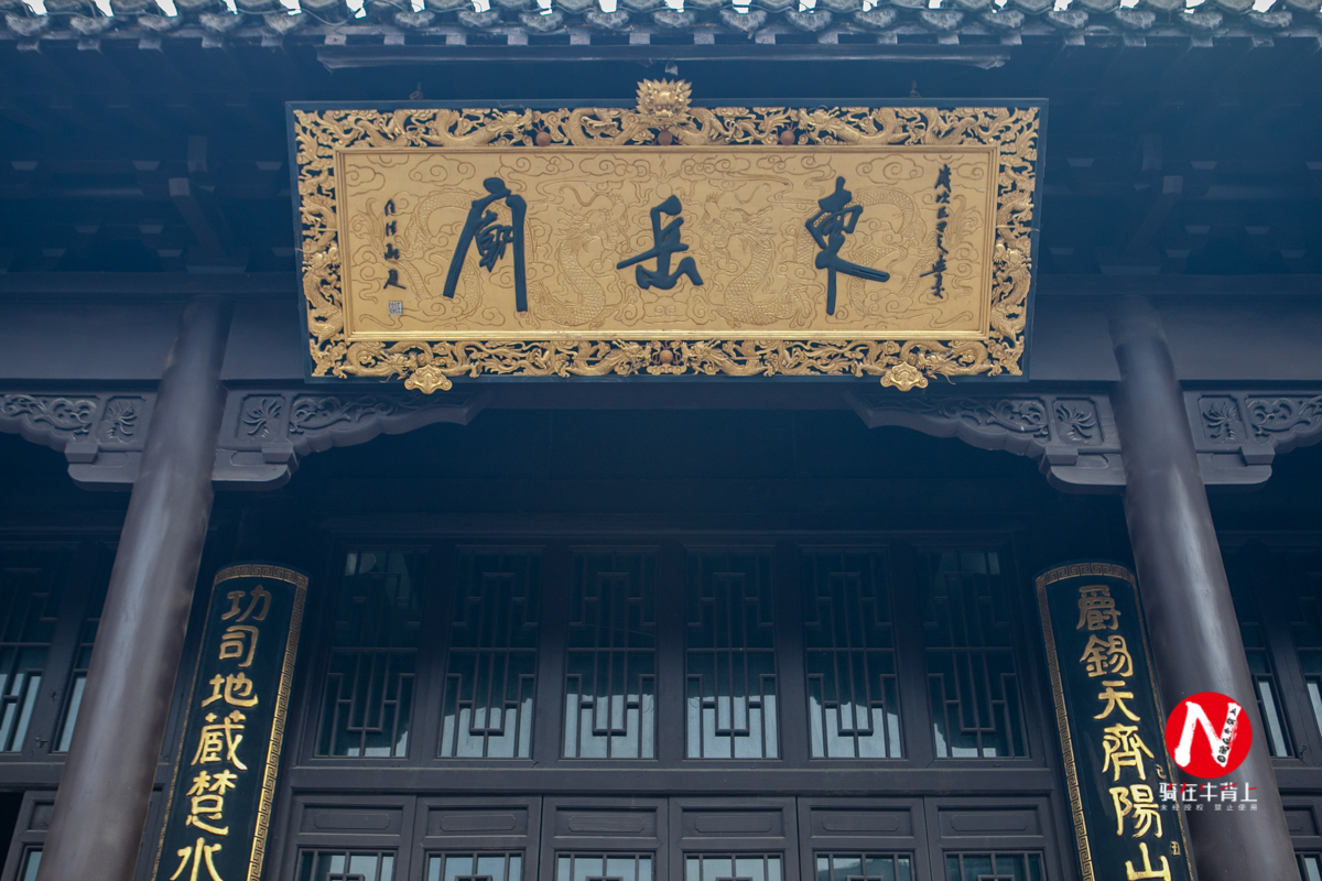 兴化看油菜花一日游,兴化千亩油菜花旅游