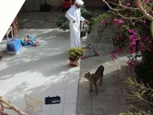 为什么迪拜人有钱,迪拜警方有多有钱