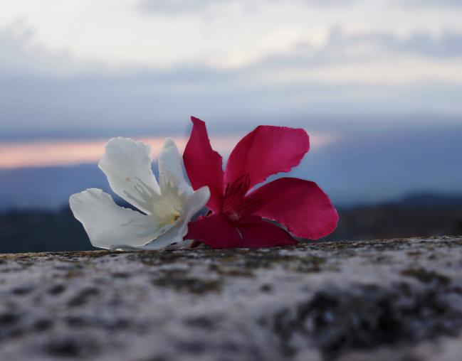 一个男人太老实有几种原因,男人为什么不能太老实