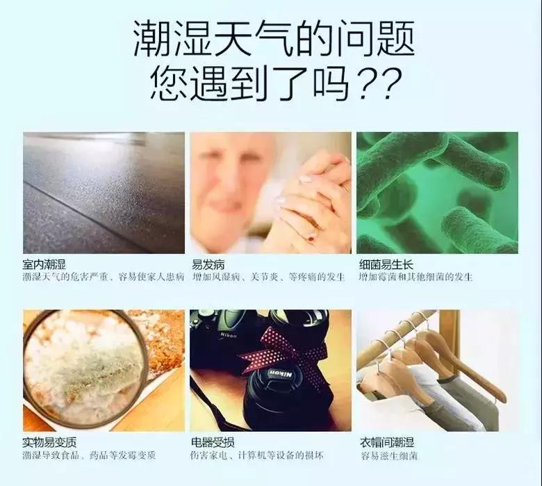天气潮湿蘑菇长霉了怎么办,梅雨季节房间墙壁长霉怎么处理