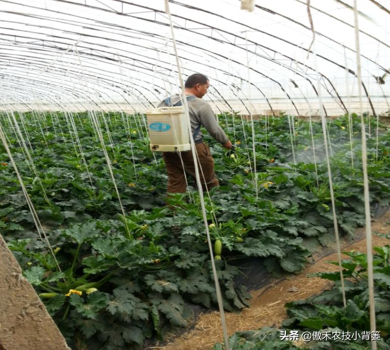 蔬菜怎样彻底清除农药残留,蔬菜有点农药残留怎么能洗掉