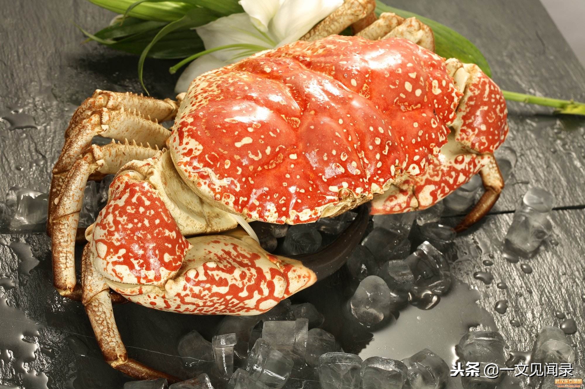 5大海鲜市场推荐,吃货必去的20个国家