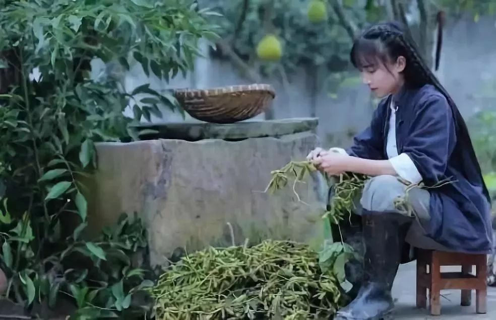 抖音几十万粉丝是真粉丝吗,揭秘抖音几百万粉丝是真实人数吗