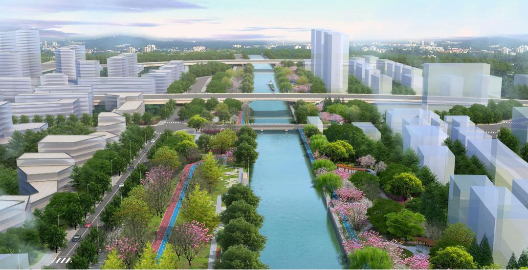 钱塘江滨水绿廊,滨江区钱塘江景观