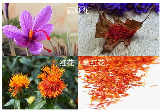 如何辨别藏红花真假视频,如何辨别真假藏红花