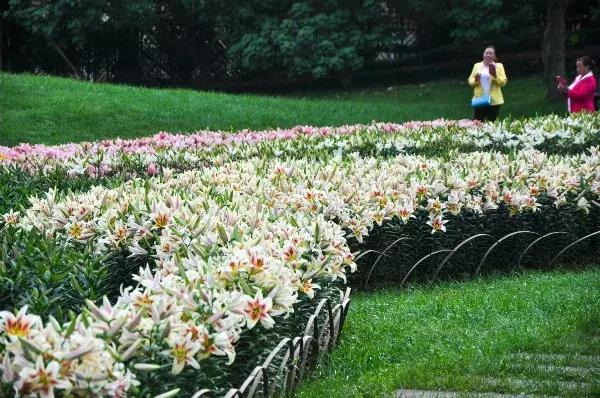 石象湖优惠,石象湖门票免费领取