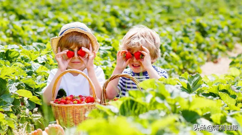 最瘦身的水果有哪些,营养又适合减肥的水果