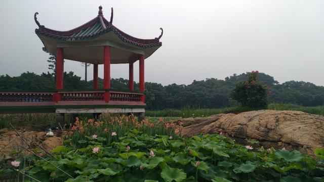 中山崖口美食推荐,崖口村煲仔饭云吞团购