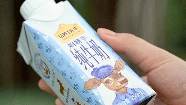 千万网红推荐的牛奶真的好喝吗,网红最好喝的纯牛奶