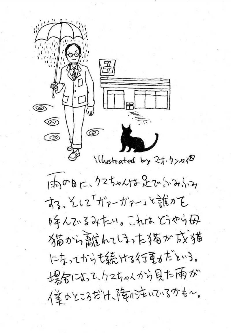 在喵咪数量超过狗狗的日本，一位旅日作家如何探寻日本文学与猫的渊源？