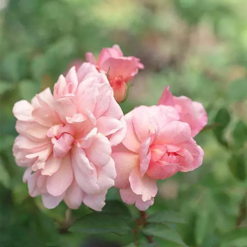 邪性的果报,男人犯了淫恶的果报