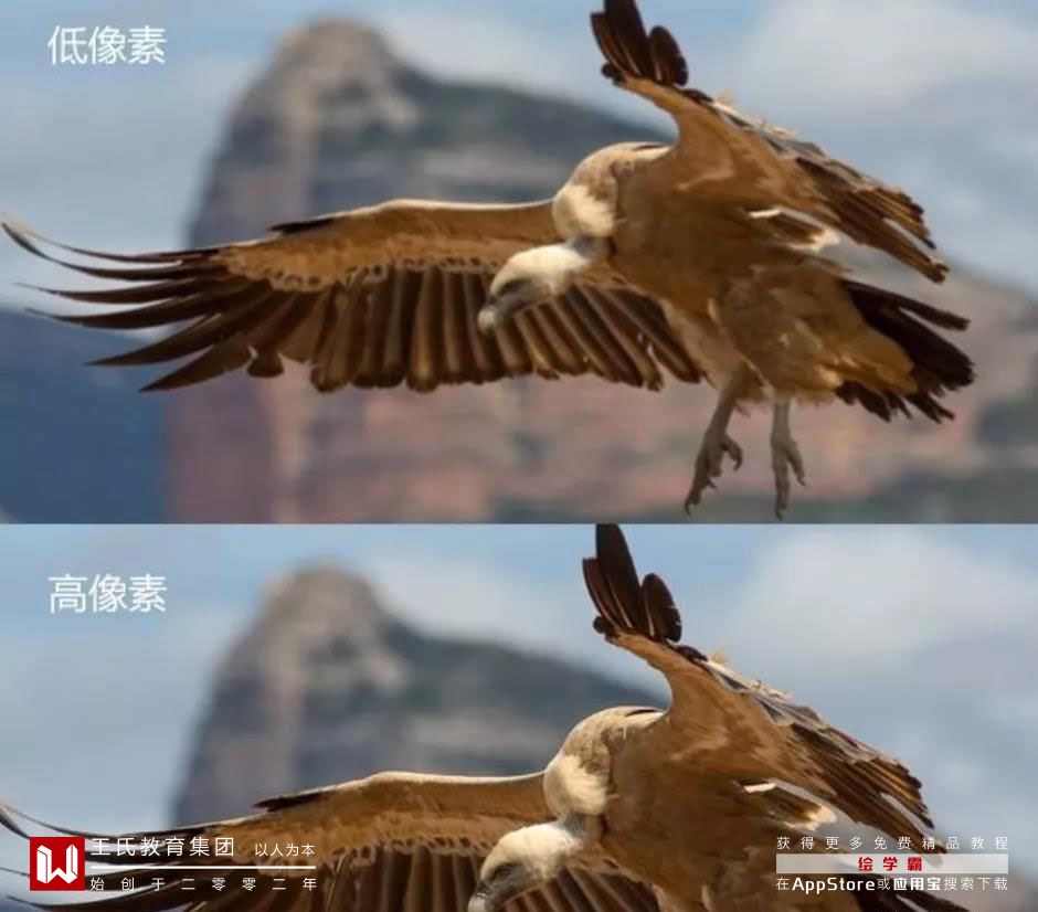 教你如何选择电影视频资源*载下**，BD,1080P都是什么意思？