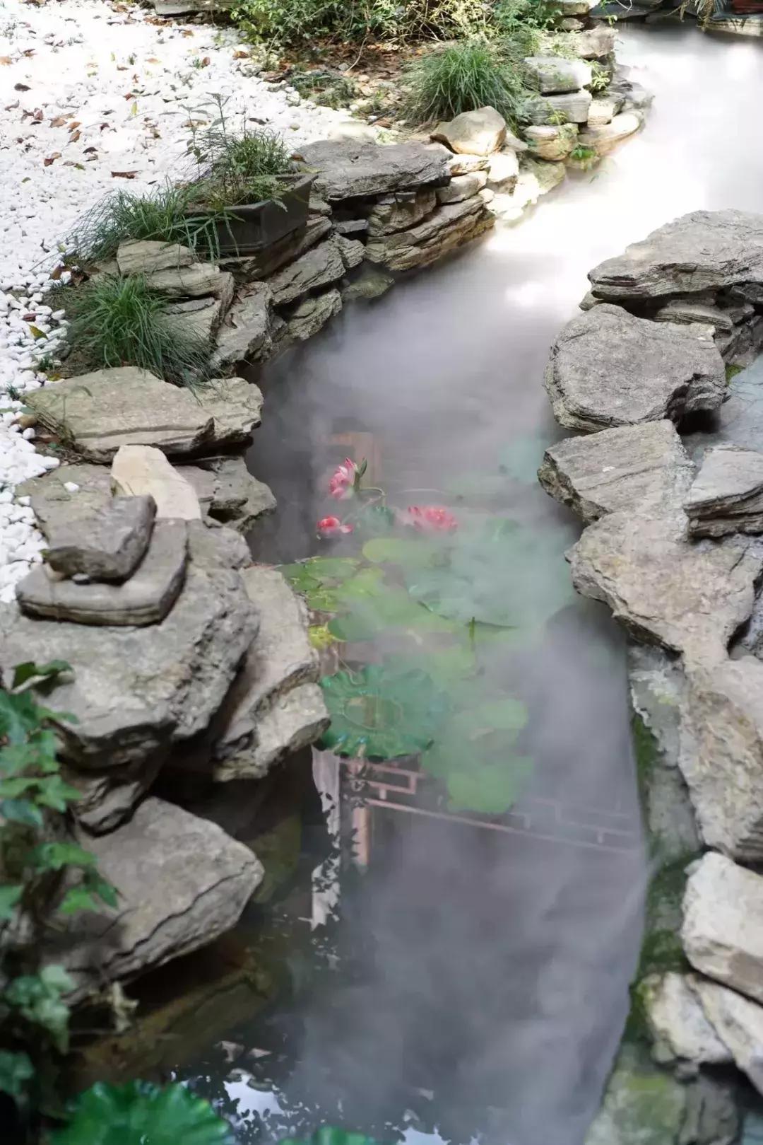 她17岁逃婚出深山，如今在无锡，开了南长街上最大的酒楼