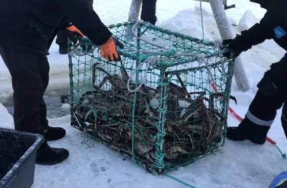 鎸▉娴疯竟灏忓矝,鎸▉灏忓矝涔嬫梾