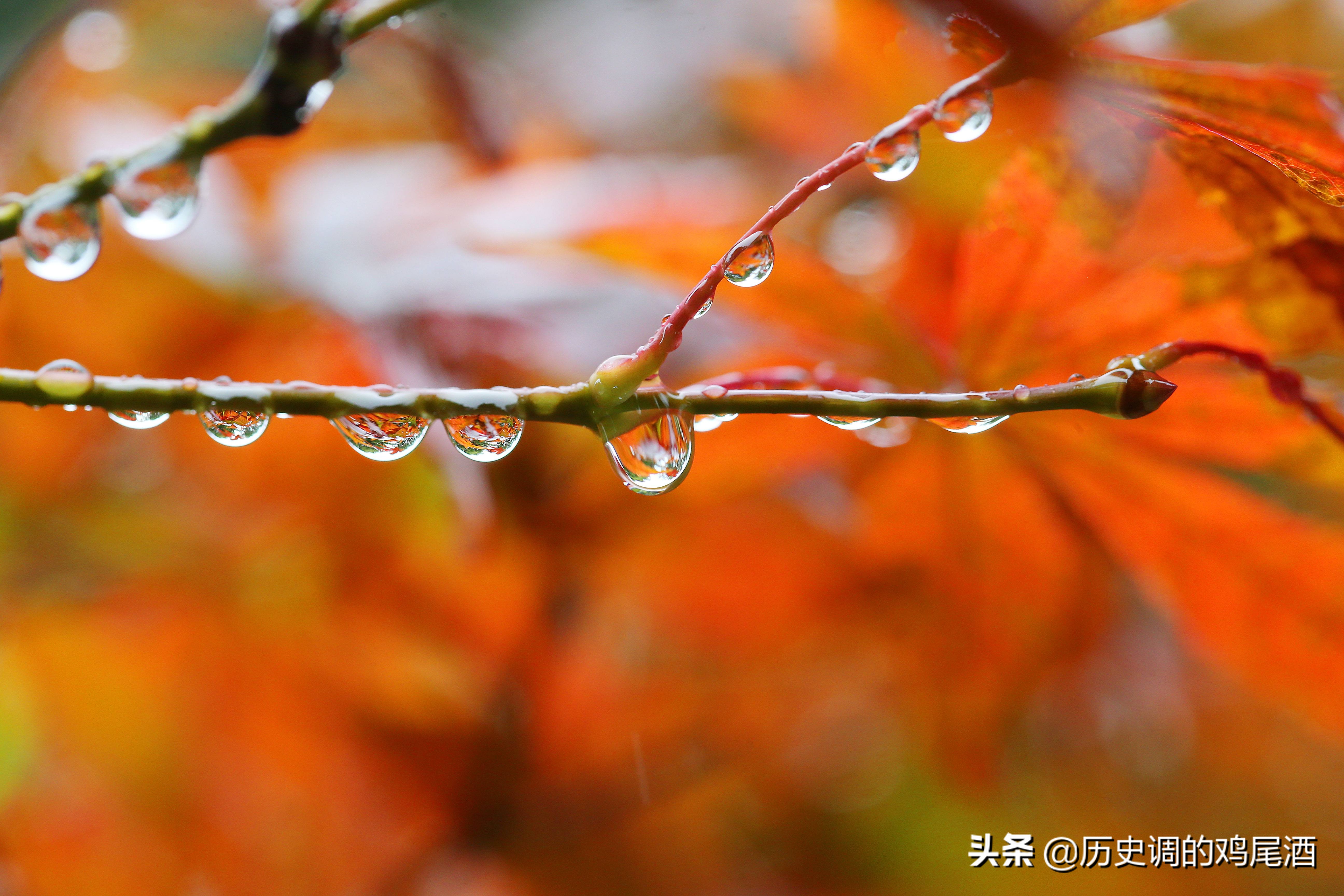 玺印特征,玺印特点