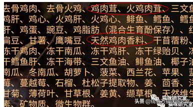 纽翠斯猫粮和别的猫粮对比,纽翠斯猫粮评测报告