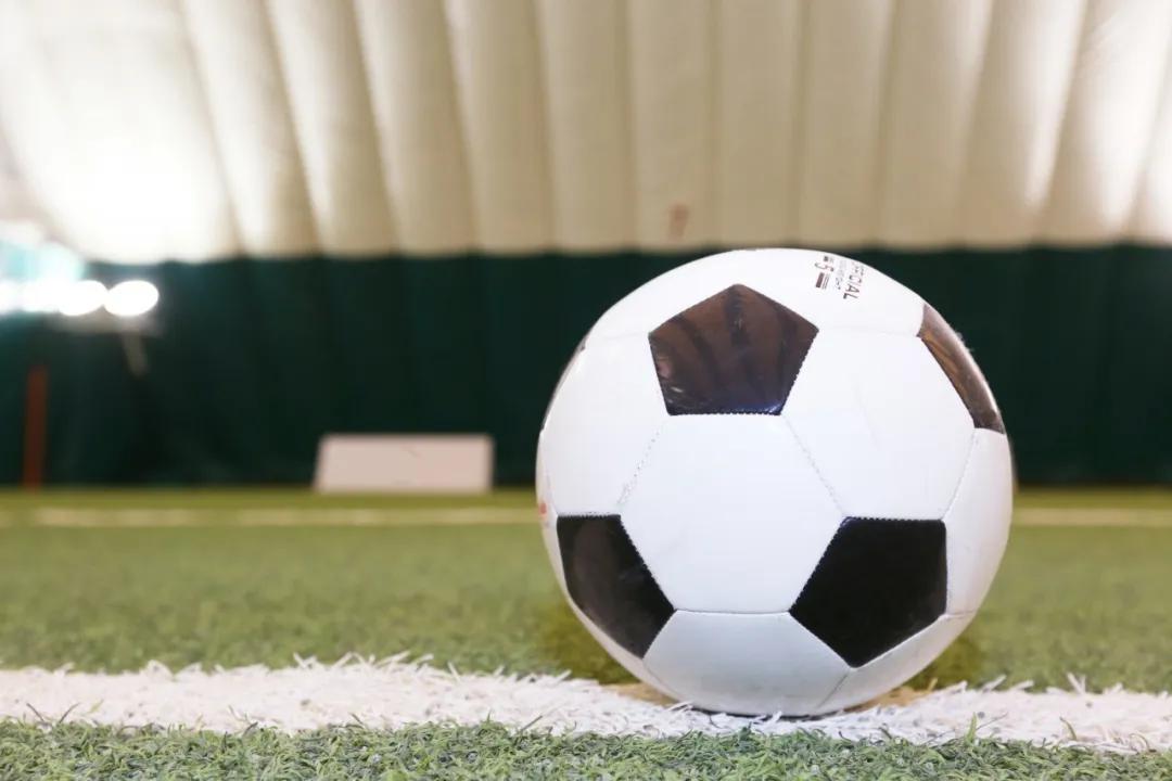 苍蝇小子绘本讲的是什么,cansamplayfootball英语绘本