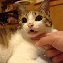 走神发呆最好的方法,走神是因为太聪明了吗